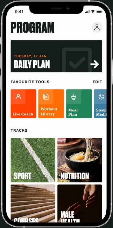 Application with an open "Program" section