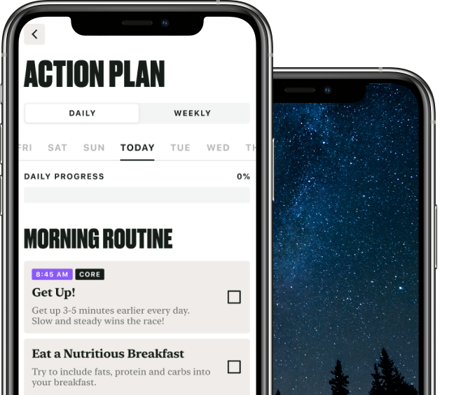 Application with an open "Action plan" section